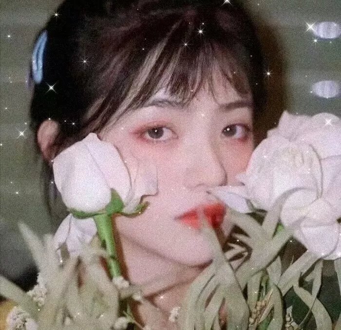 哈莉·奎茵第四季